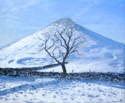 Colline et arbre, Derbyshire, 2008 - Andrew Macara