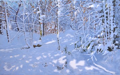 Neige de novembre, Allestree Woods, Derby - Andrew Macara