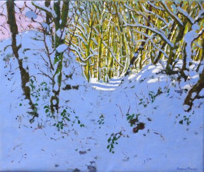 Chemin à travers les bois en hiver, Derbyshire - Andrew Macara