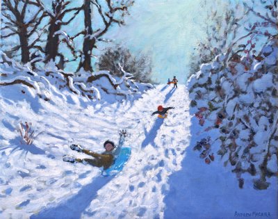 Luge, Calke Abbey, Ticknall, Derby - Andrew Macara