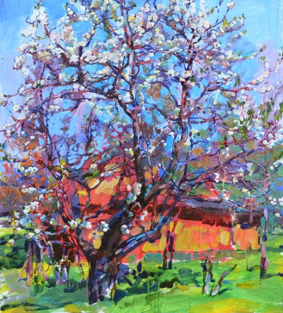  - Andrii Kutsachenko