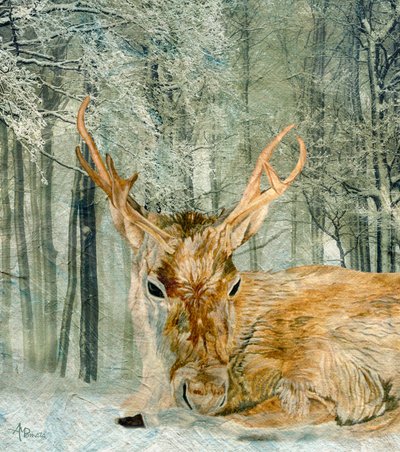 Cerf dans la forêt en hiver - Angeles M. Pomata