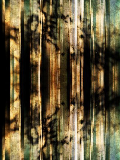 Résumé : Ombres de la forêt - Angelo Cerantola