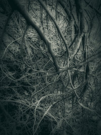  - Angelo Cerantola