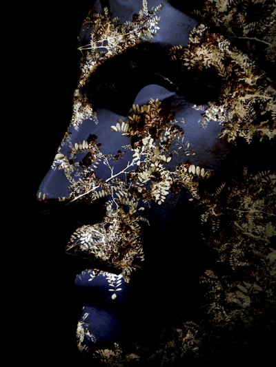 Profil botanique serein - Angelo Cerantola