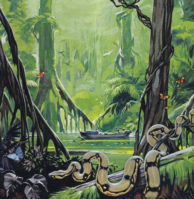 Exploration du fleuve Amazone (lithographie couleur) - Angus McBride