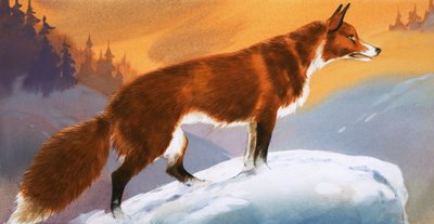 Renard dans la neige - Angus McBride