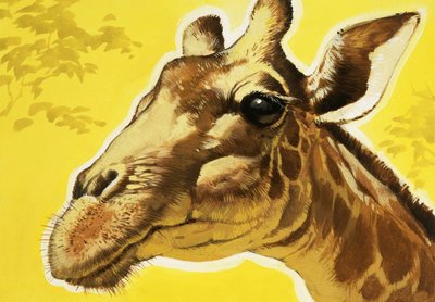 Tête de girafe - Angus McBride
