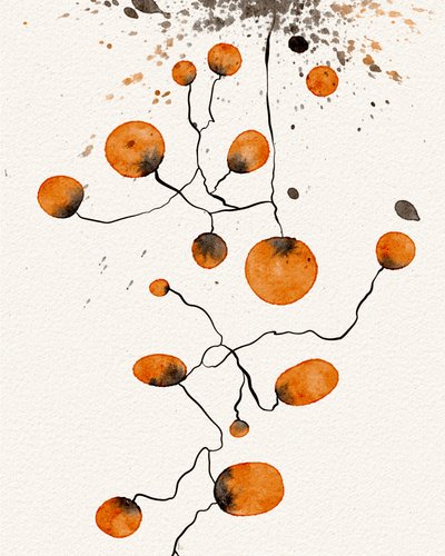 Formulaires Orange Connectés - Ankie Kooi