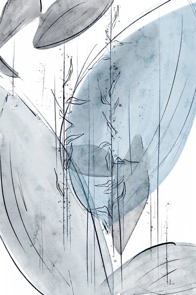 Gentle Blue Botanicals - Ankie Kooi