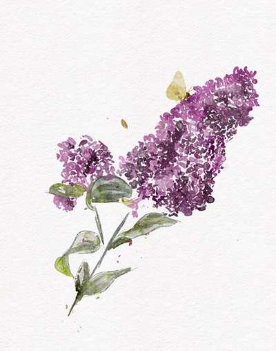 Papillon lilas violet - Ankie Kooi