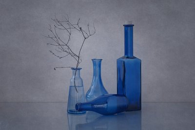 Bouteilles bleues et branches - Anna Klinkosz