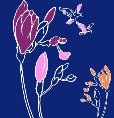 Freesia - Anna Platts