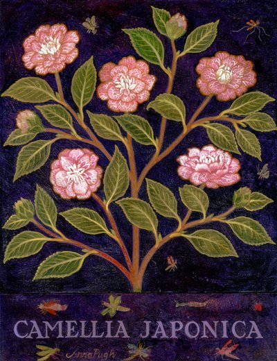  - Anna Pugh