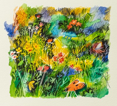 Insectes des prés, 2023 (aquarelle) - Anna Pugh