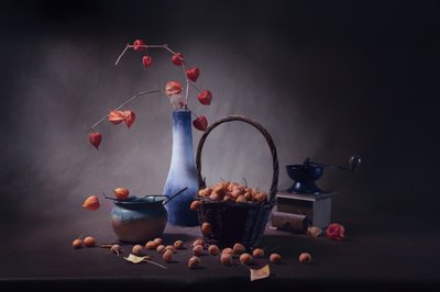  - Anna Qu