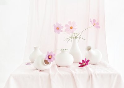  - Anna Qu