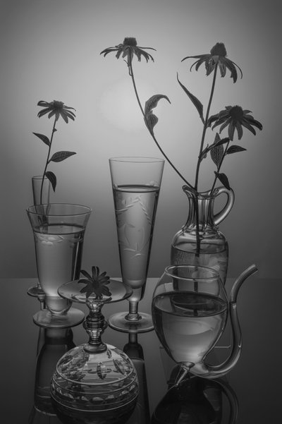  - Anna Qu