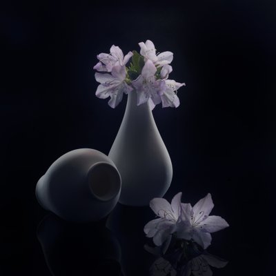  - Anna Qu