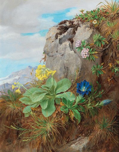 Fleurs des Alpes - Anna Stainer Knittel
