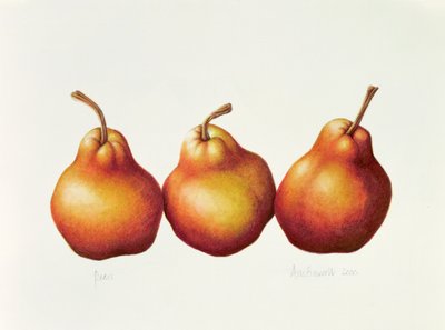 Poires, 2000 - Annabel Barrett