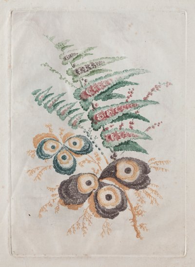 Nouvelle suite de portfolios de fleurs idéale pour la conception et la peinture : Fantaisies florales - Anne Allen