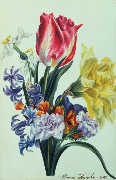 Fleurs de printemps, 1815 - Anne Hooke