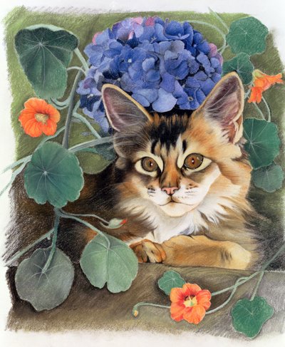 Sootsy avec hortensia - Anne Robinson