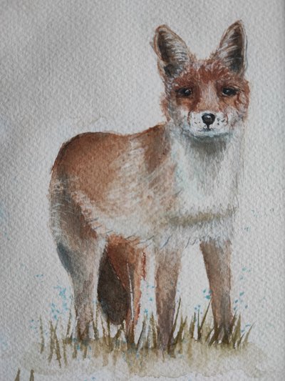 Le renard roux curieux - Annette Armitage