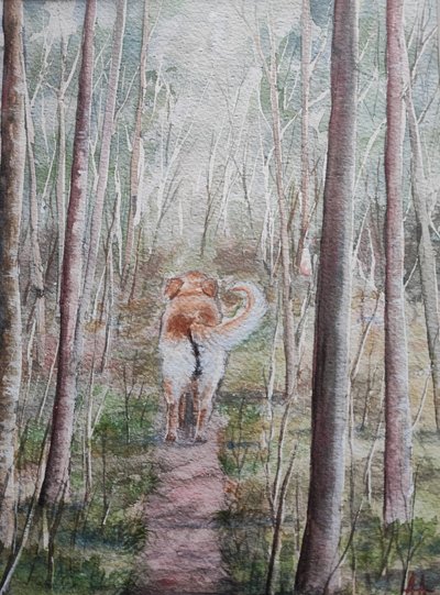 Promenade en forêt avec mon chien - Annette Armitage