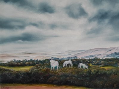 Les poneys de la lande sereine - Annette Armitage