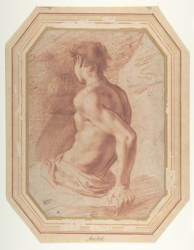 Vue de dos d