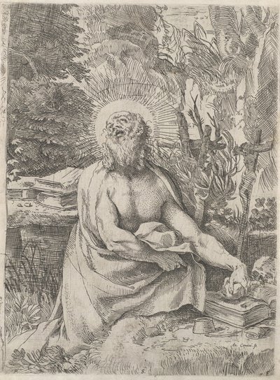 Saint Jérôme dans le désert - Annibale Carracci