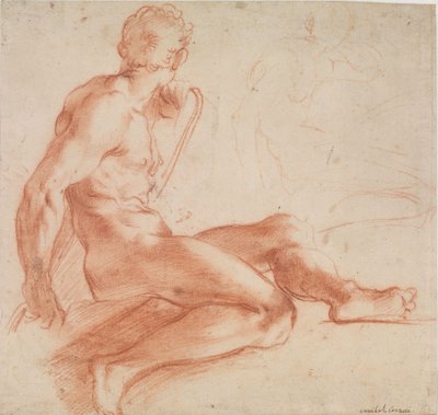 Sitzender männlicher Akt - Annibale Carracci
