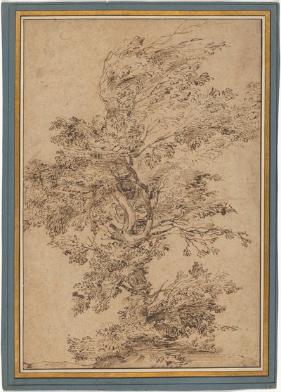 Studie eines Baumes - Annibale Carracci