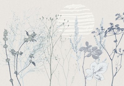 La douce lumière du soleil dans la prairie - Annick
