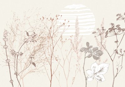 Fleur de prairie séchée - Annick