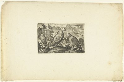 Aigle et une perdrix - Anonymous