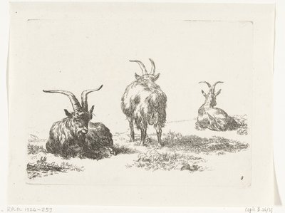 Trois chèvres - Anonymous