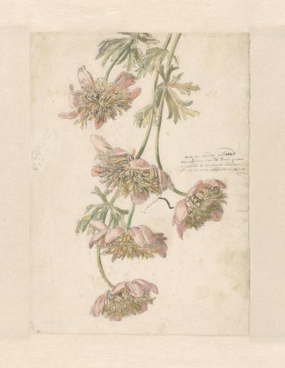 Trois branches avec des fleurs - Anonymous