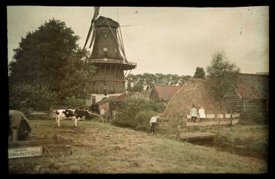 Scène de ferme, avec un moulin à vent, une vache attachée et des enfants posant, Pays-Bas - Anonymous