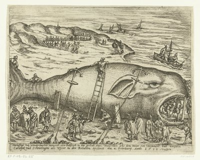 Baleine échouée près de Berckhey, 1598 - Anonymous