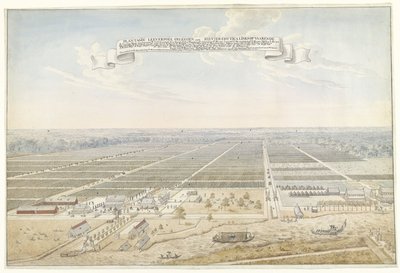 Vue de la plantation de café Leeverpoel au Suriname - Anonymous