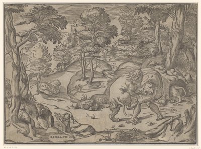 Hercule et le lion de Némée - Anonymous