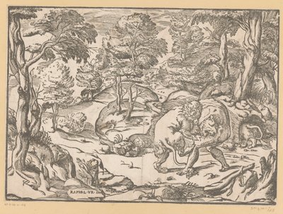 Hercule et le lion de Némée - Anonymous