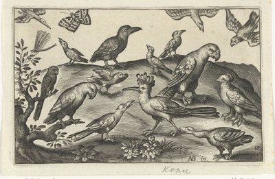 Houblon et autres oiseaux Oiseaux et insectes (titre de la série) - Anonymous