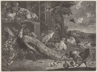 Paysage avec oiseaux - Anonymous