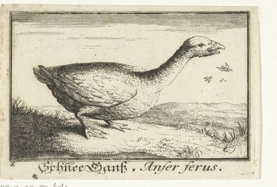 Paysage avec oie sauvage - Anonymous
