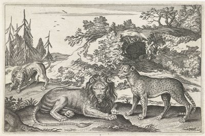 Lions et léopard - Anonymous