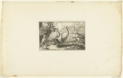 Cigogne entre deux autres oiseaux - Anonymous